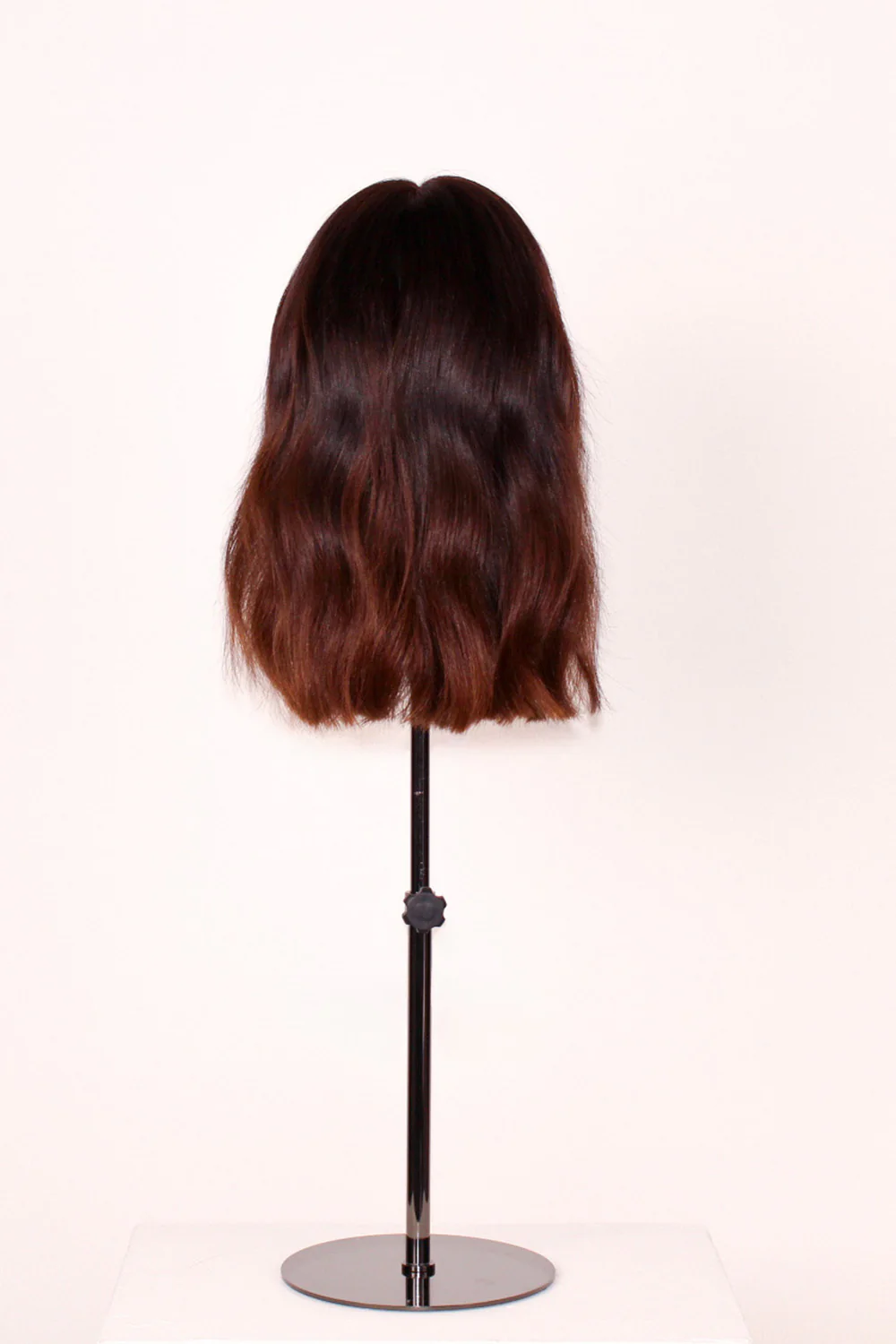 Celosia Wig 30cm - Image 5